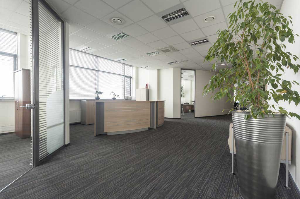 Ein sehr sauberes und gepflegtes Büro in hellen Farben. Rechts steht eine Grünpflanze, im Hintergrund erkennt man das Sekretariat.